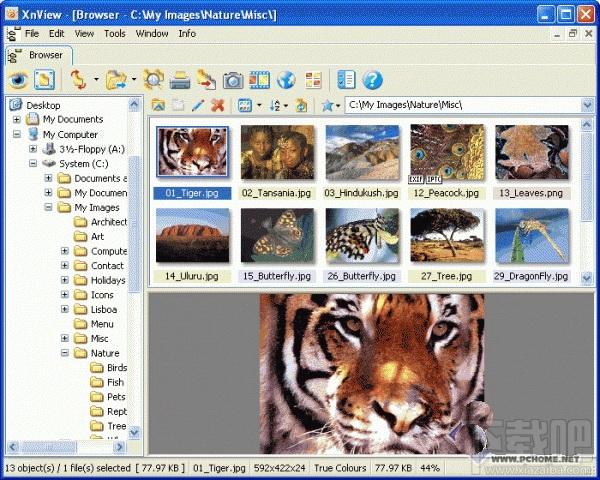 XNview Extended,XNview Extended下载,XNview Extended(图像浏览)官方下载